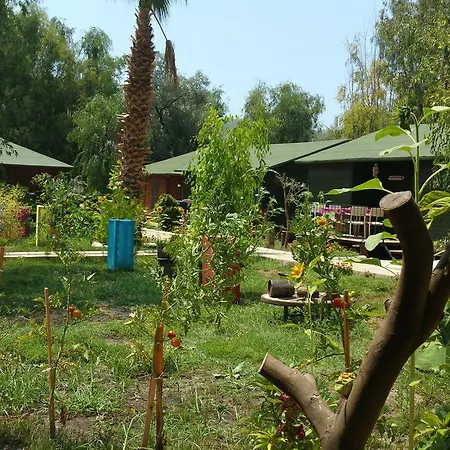 Hotel Oba Beach Oludeniz