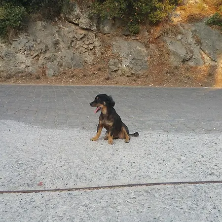 Oba Beach Hotel Ölüdeniz