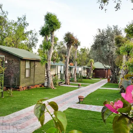 Oba Beach Ölüdeniz