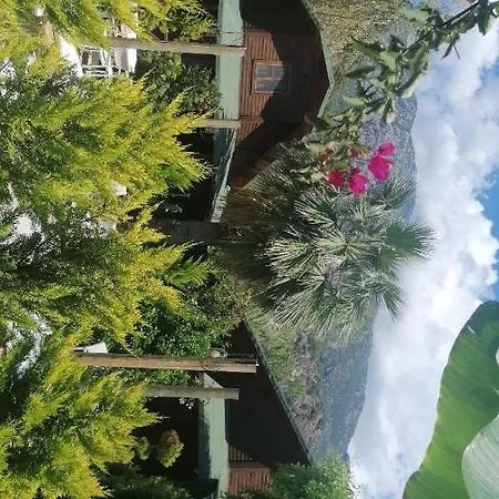 Oba Hotel