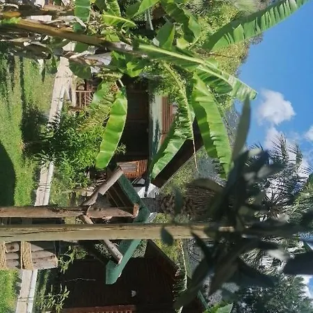 Hotel Oba Ölüdeniz