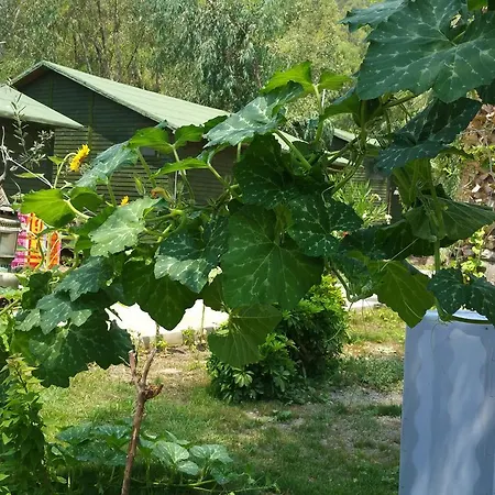 ホテル Oba Beach *