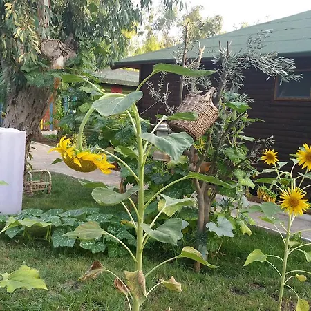 Oba Beach ホテル *