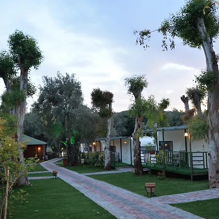 Oba Beach オルデニズ