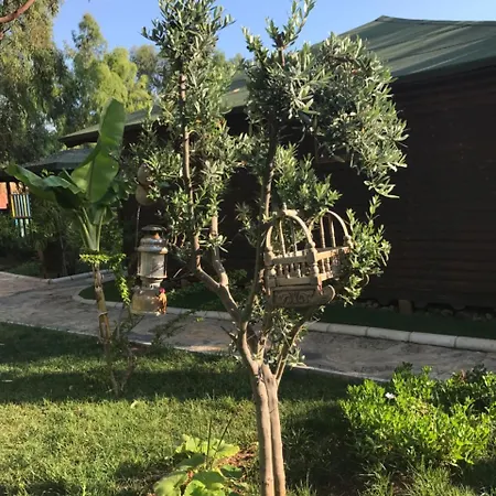 Hotel Oba Ölüdeniz