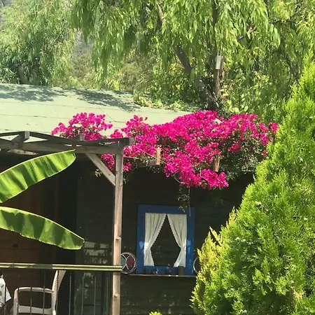 Hotel Oba Ölüdeniz