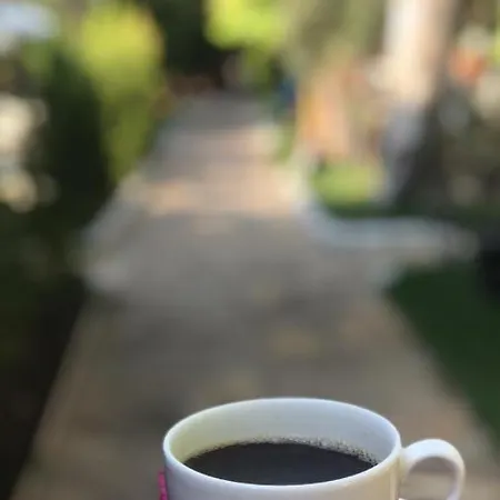 Oba * Ölüdeniz
