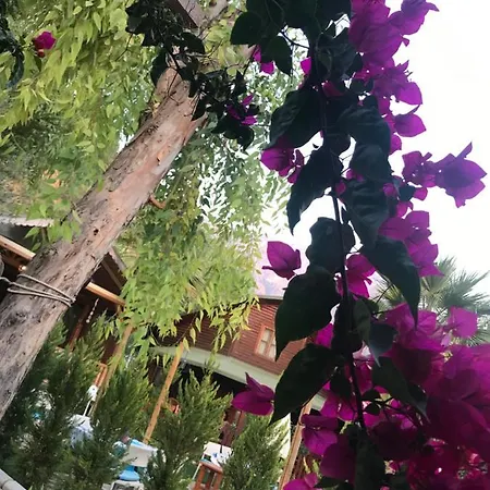 Hotel Oba Ölüdeniz