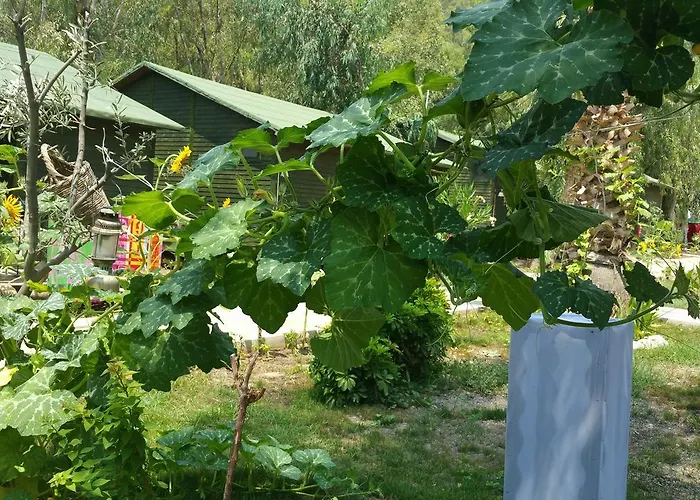 מלון Oba Beach *