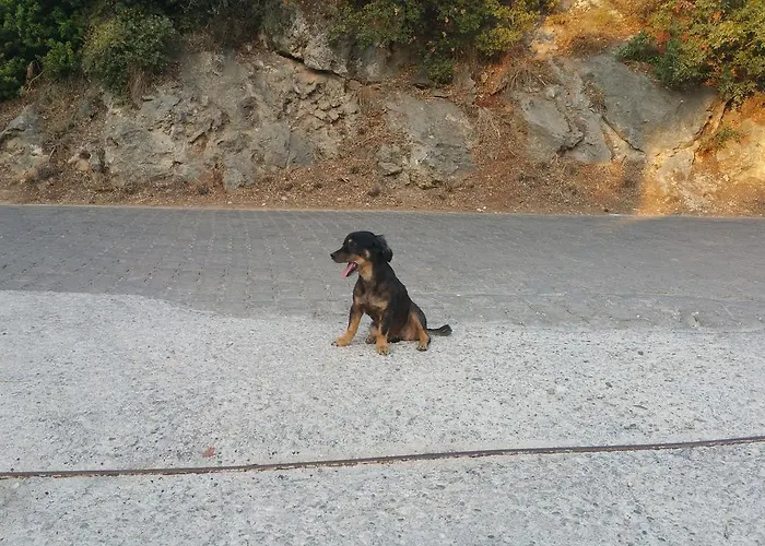 Oba Beach מלון אולודניץ